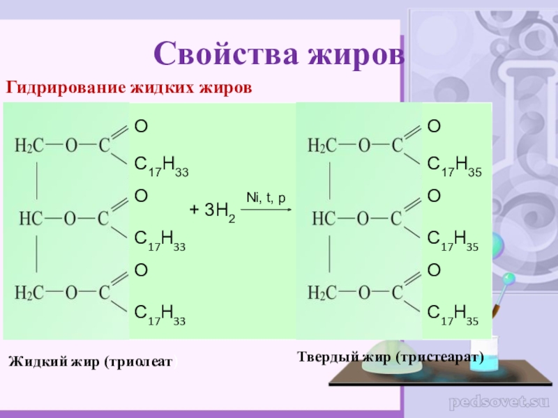 Жиры презентация по химии