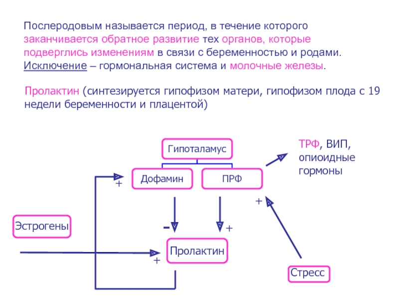 Период обратного развития. Течение послеродового периода. Оценка течения послеродового периода. Обратное развитие. Послеродовый период классификация.