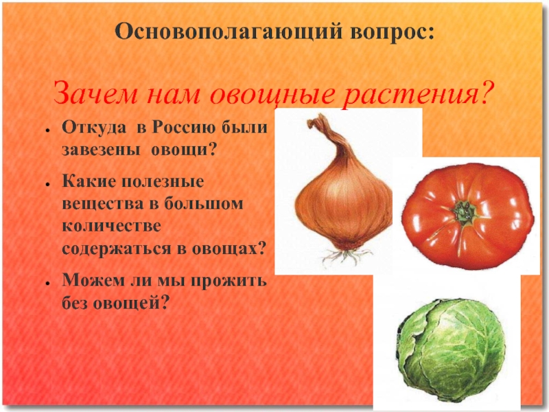 Основополагающий вопрос:  Зачем нам овощные растения?Откуда в Россию были завезены овощи?Какие полезные вещества в большом количестве