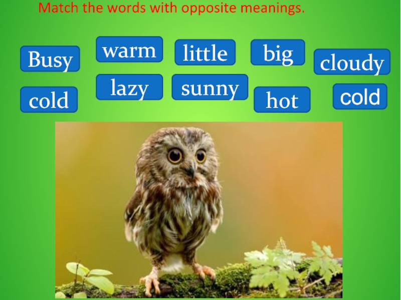 Match the Words with opposite meaning.