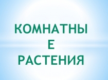 Комнатные растения