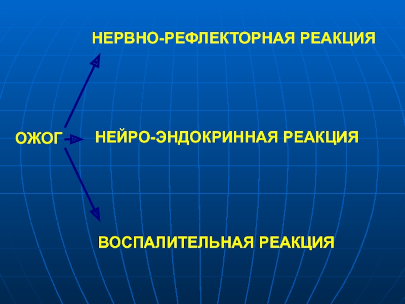 Интенсивное направление