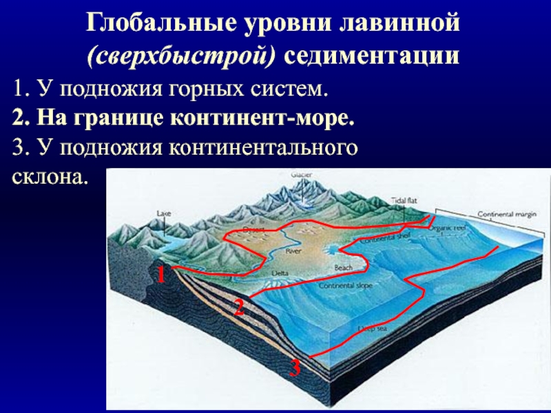 Какой цифрой на рисунке обозначен континентальный склон