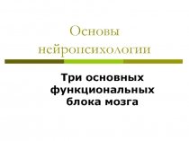 Основы нейропсихологии
