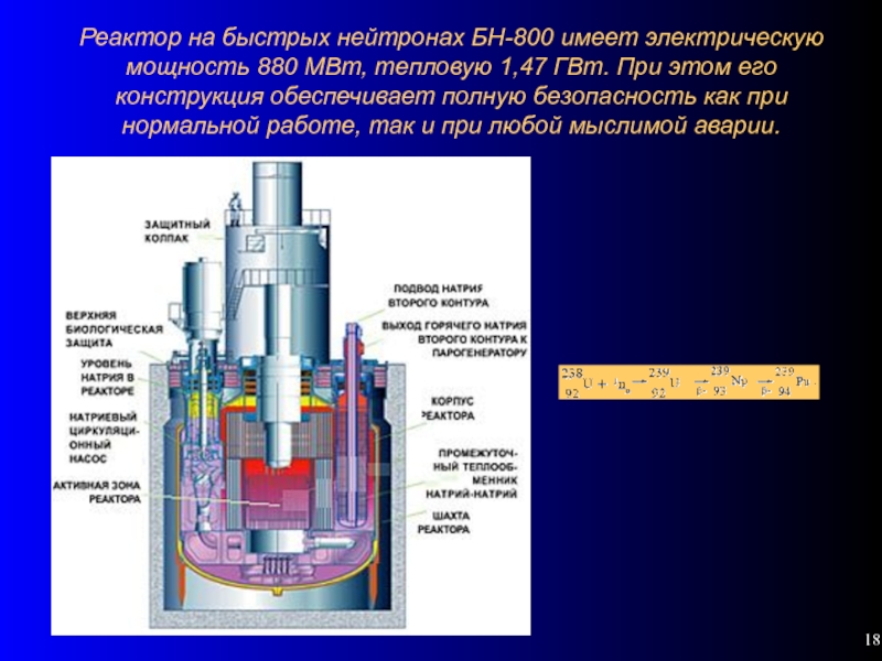 Первая в мире аэс на быстрых нейтронах. Конструкция реактора БН-800. Реактор БН-800 В разрезе. Реактор типа БН 800. БН-800 реактор на быстрых нейтронах.