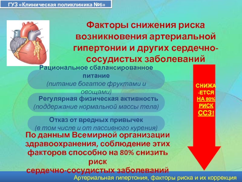 Факторы риска развития сердечно сосудистых заболеваний картинки