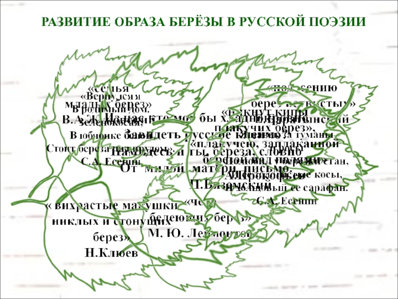 Презентация образ березы как ключевой образ русской литературы