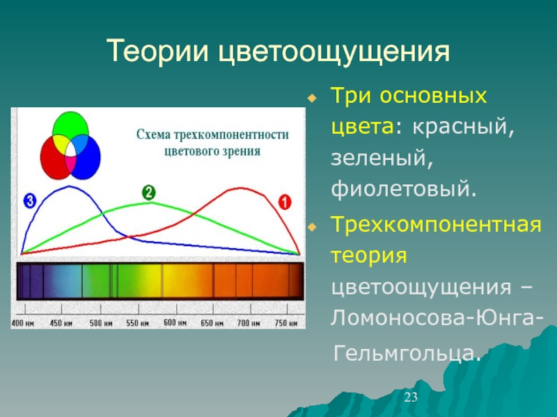 Цветовое зрение схема