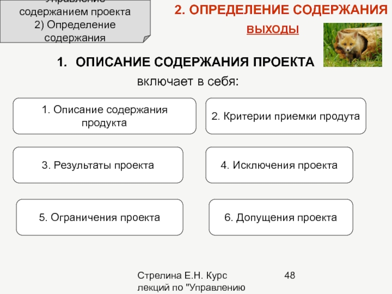 Описание содержания проекта включает