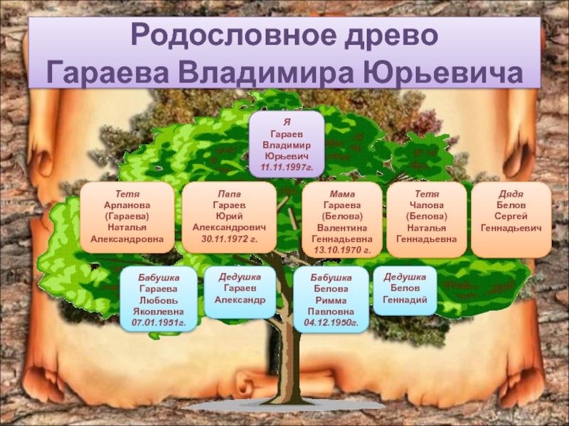 Родословное древо 3 класс окружающий. Проект моя родословная. Генеалогическое дерево. Проект дерево родословной. Родовое Древо семьи.