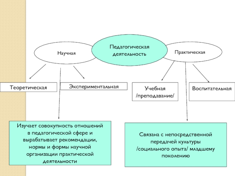 Сфера образовательной деятельности