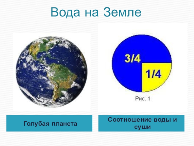 Укажите на диаграмме какую часть поверхности нашей планеты занимает суша а какую океан