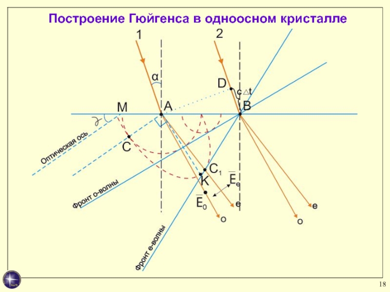 На рисунке изображены волновые поверхности о и е лучей в одноосном кристалле