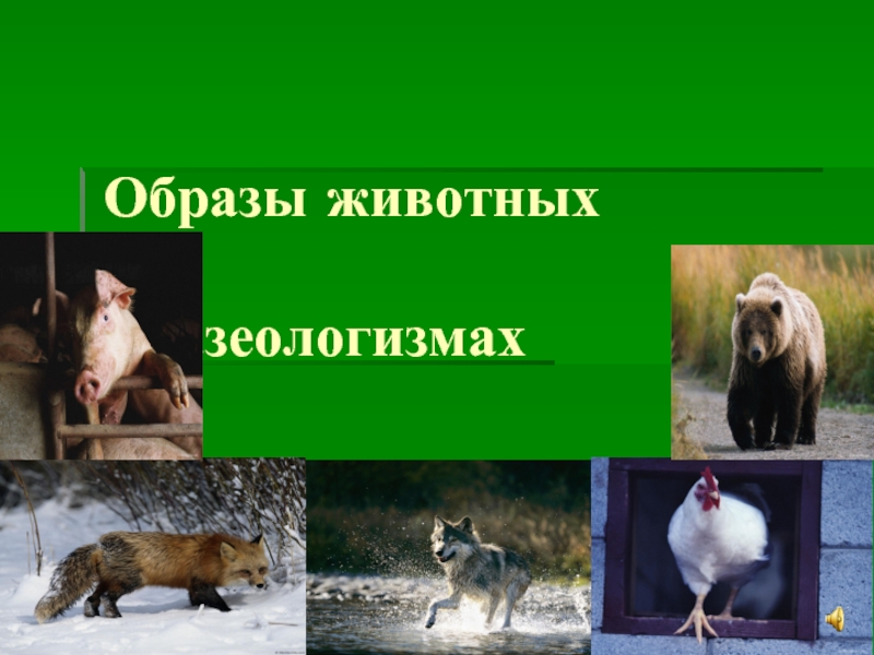 Презентация Образы животных во фразеологизмах