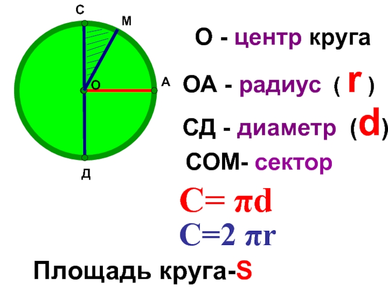 Окружность 6 класс математика презентация