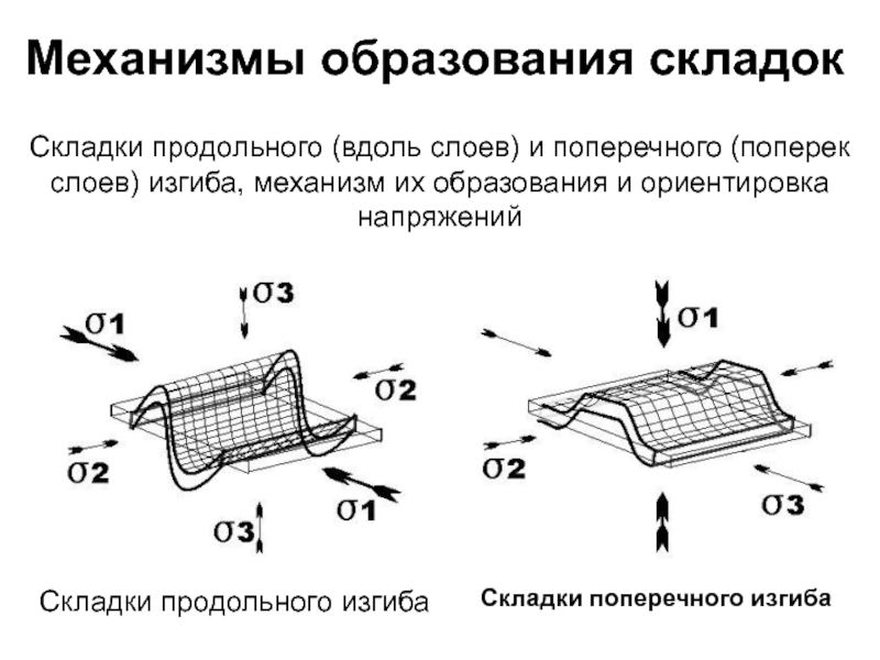 Продольная складка