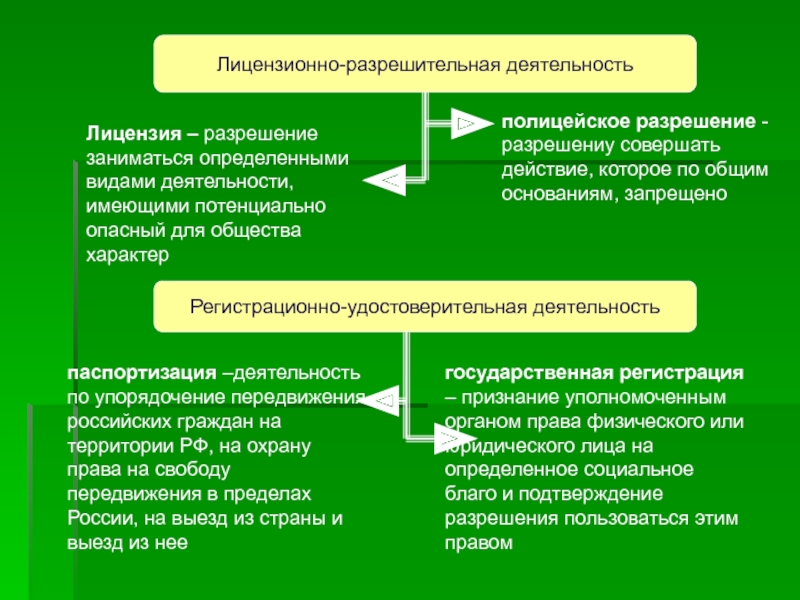 Разрешительная система рф схема