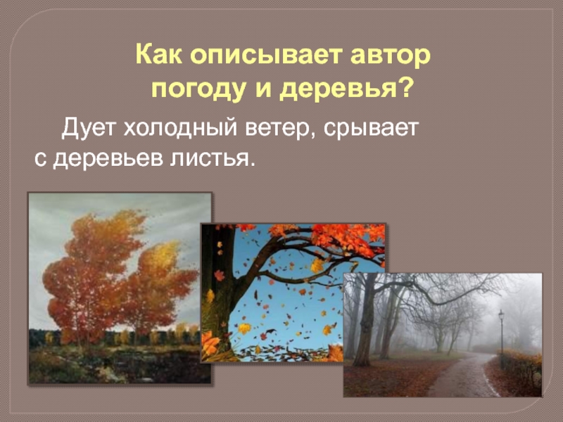 Как описывает автор погоду и деревья? 	Дует холодный ветер, срывает с деревьев листья.