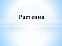 Растения