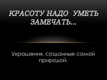 Украшения, созданные самой природой