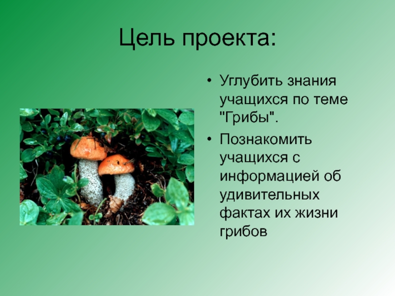 Съедобные грибы Поволжья. Цель проекта съедобные грибы. Образ жизни грибов. Актуальность проекта про грибы.