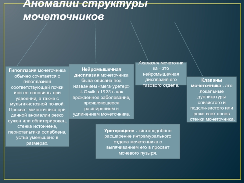 Аномалии мочеполовой системы презентация