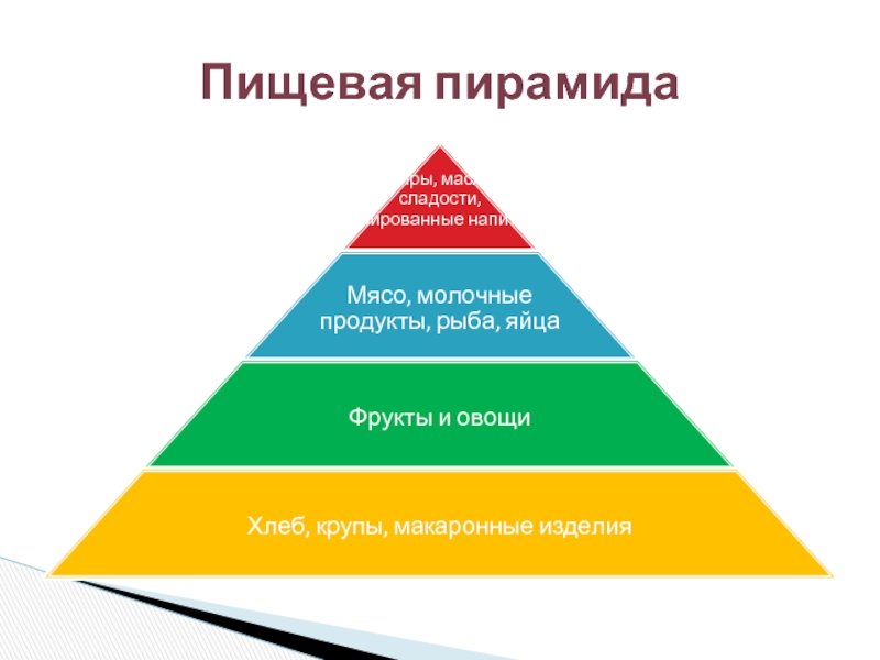 Пищевая пирамида 5 класс технология рисунок