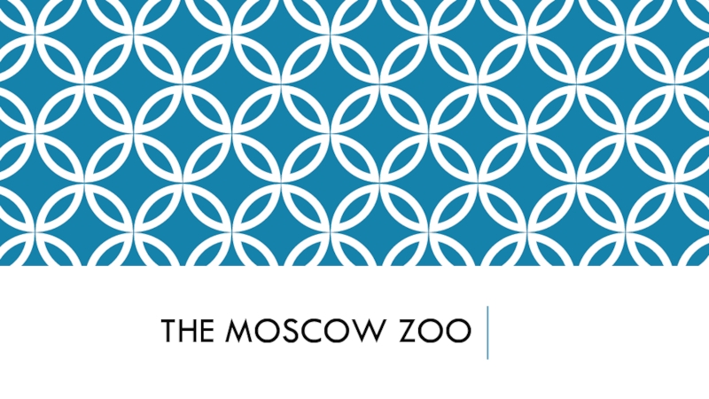 The Moscow Zoo