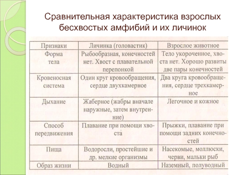 Таблица характеристики земноводных