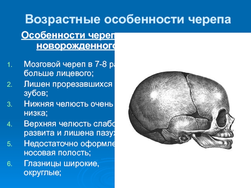 Родничок у взрослого. Соединения костей черепа. Возрастные особенности костей черепа.. Соединение костей черепа. Череп новорожденного.. Возрастные особенности черепа роднички швы. Роднички анатомия.