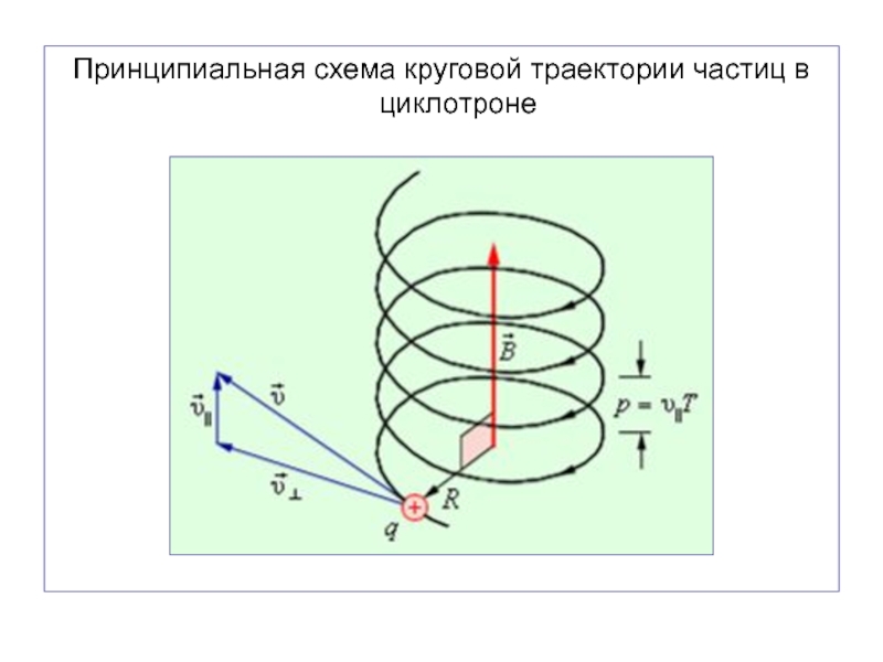 Круговая траектория. Схема движения частиц в циклотроне. Траектория частиц циклотрона. Круглая Траектория физика.