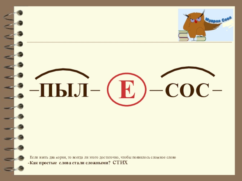 Слово стали. Сложные слова 3 класс. Презентация сложные слова 3 класс. Схема образования сложных слов. Сложные слова 3 класс презентация 3 класс.