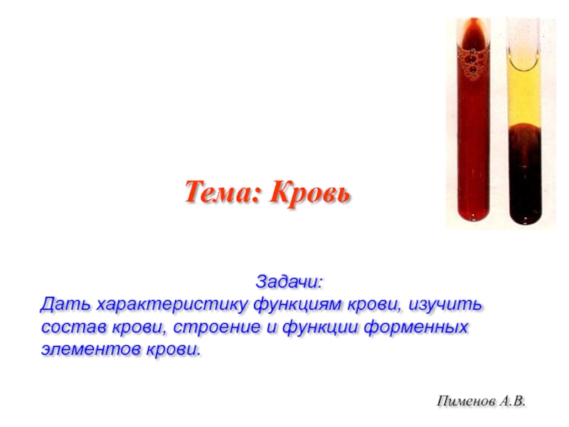 Пименов А.В.
Задачи:
Дать характеристику функциям крови, изучить состав крови,