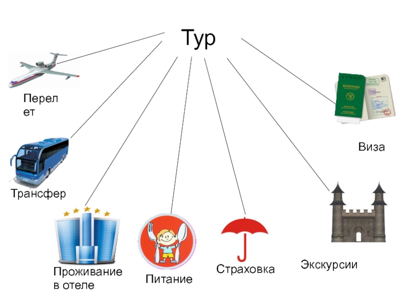 Виды туризма схема