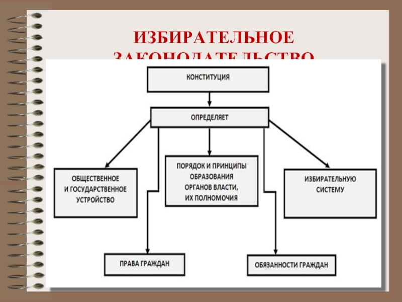 Схема избирательного права