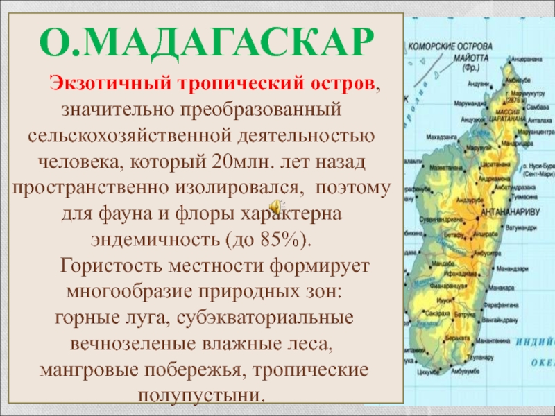 Остров мадагаскар проект