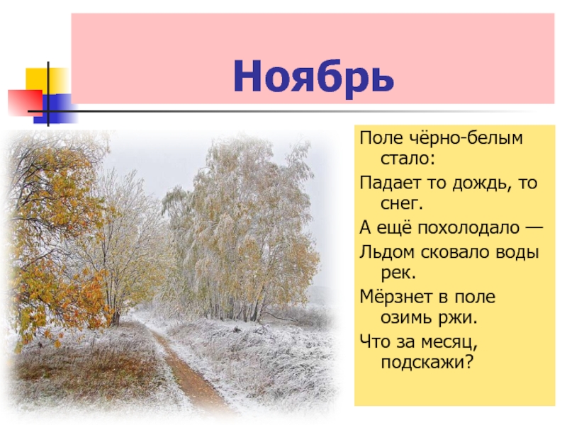 Ноябрь какое время. Загадки про ноябрь. Ноябрь. Ноябрь презентация. Стихи про ноябрь.