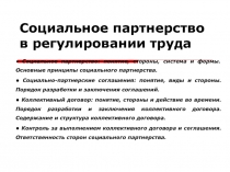 Социальное партнерство в регулировании труда 