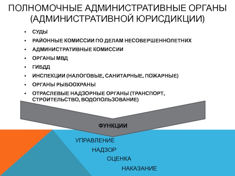 План процессуальное право 10 класс