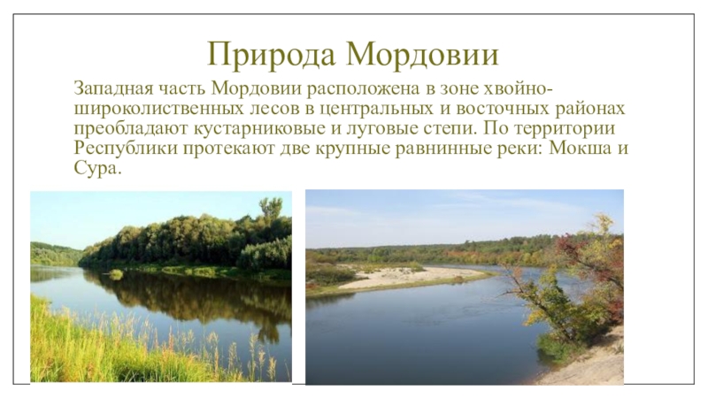 Мордовия природная зона какая. Природа Республики Мордовия проект. Степи Республики Мордовия.