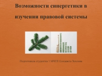 Возможности синергетики в изучении правовой системы