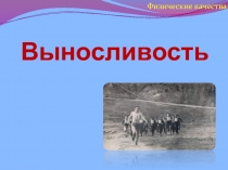 Выносливость