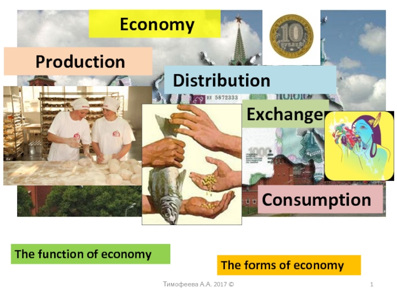 Economy Production DistributionExchangeConsumptionThe function of economyThe forms of economyТимофеева А.А. 2017 ©