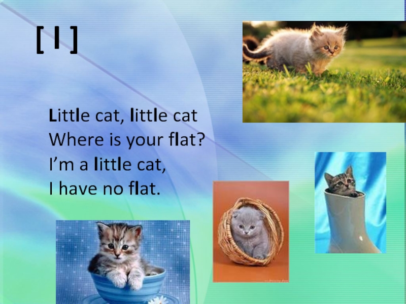 Little cat, little cat Where is your flat? I’m a little cat, I have no flat.[