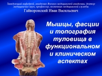 Мышцы,фасции и топография туловища в функциональном и клиническом аспектах