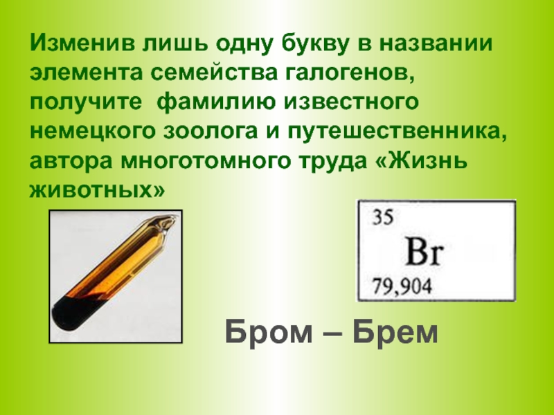 Бром. Германий семейство элементов. Значение название элемента бром. В честь кого назван элемент бром.