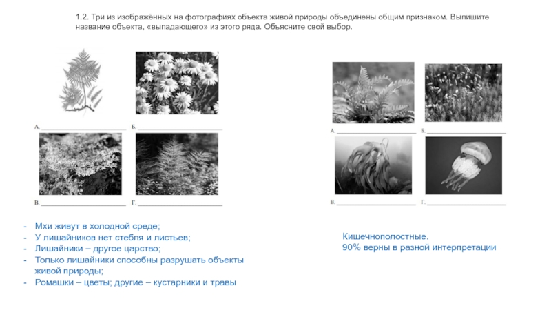 Презентация 1.2. Три из изображённых на фотографиях объекта живой природы объединены общим