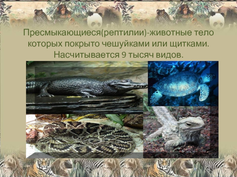 Пресмыкающиеся(рептилии)-животные тело которых покрыто чешуйками или щитками. Насчитывается 9 тысяч видов.