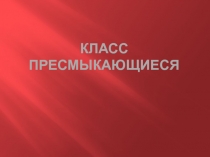 класс пресмыкающиеся