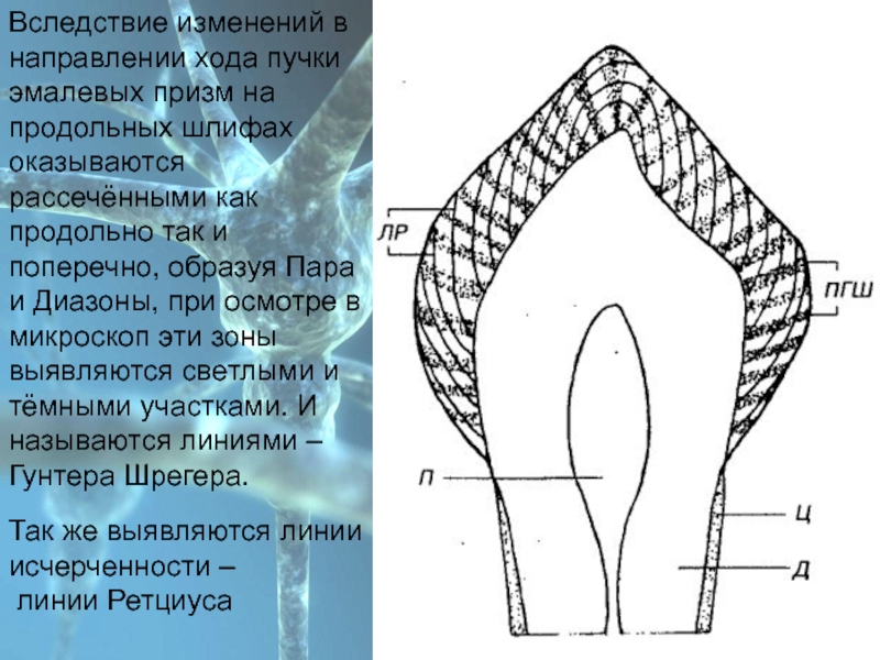 Вследствие изменения